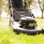lawn mower cutting thick grass