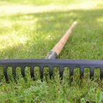 lawn rake