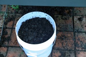 bucket of compost