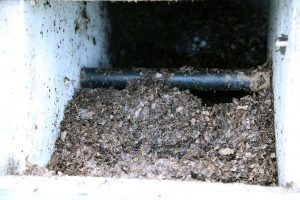 inside compost tumbler
