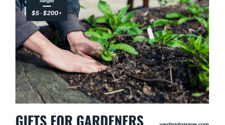 Best Gardening Gifts