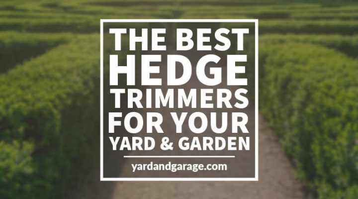 best hedge trimmers