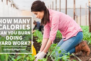 woman working in a garden