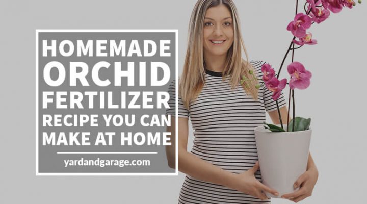 diy fertilizer for orchids