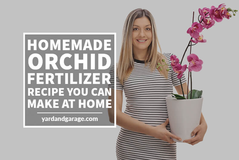 diy fertilizer for orchids