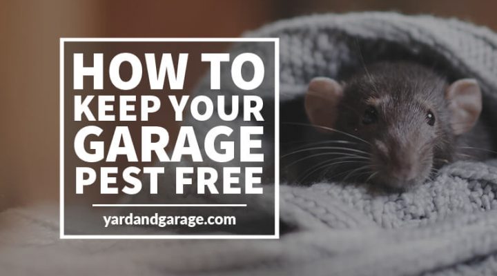 how to keep garage pest free