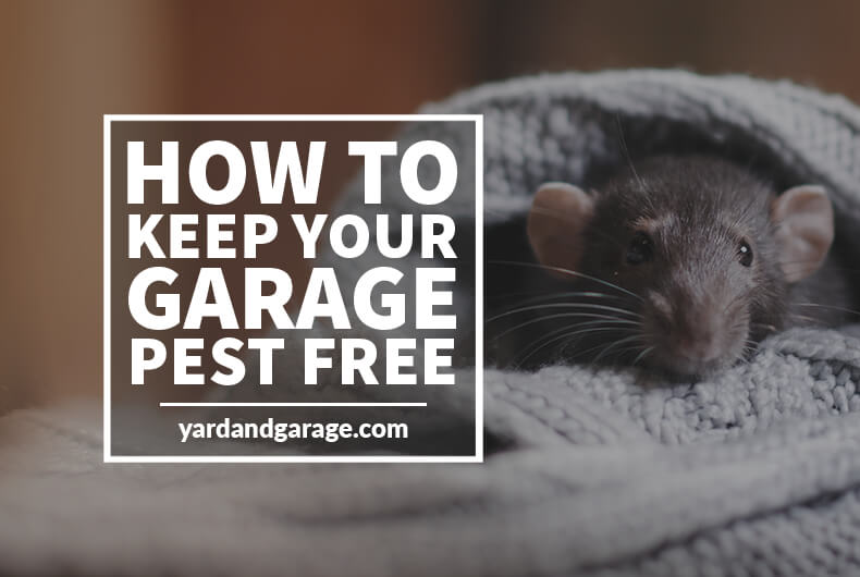 how to keep garage pest free