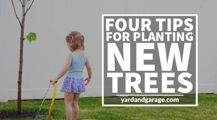 new tree planting tips