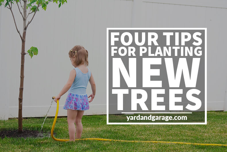 new tree planting tips