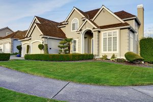 perfectly edged lawn