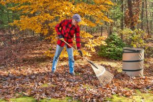 raking up leaves