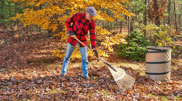 raking up leaves