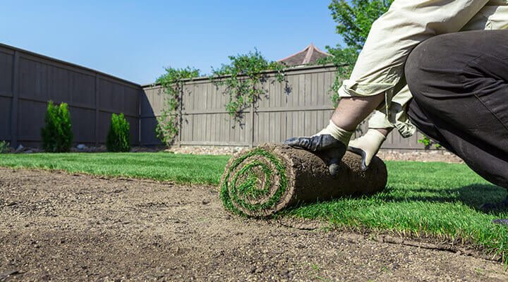 new sod rolled out