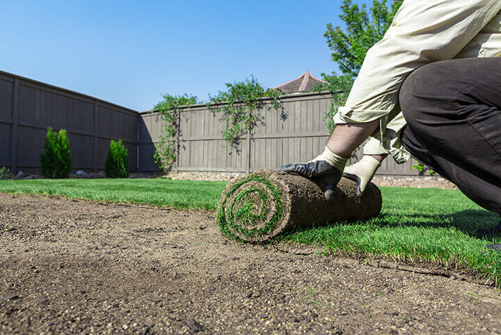 new sod rolled out