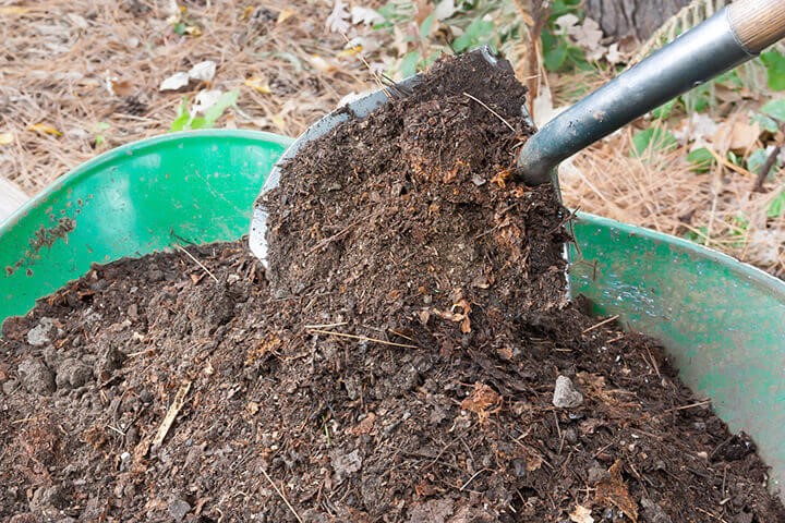 Compost for garden