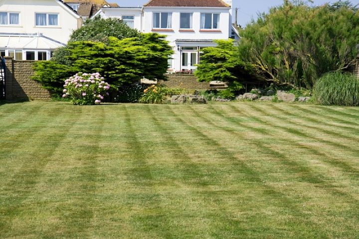 Clean cut lawn