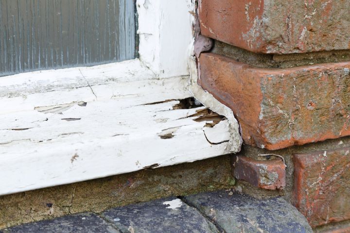 Damaged wood around window