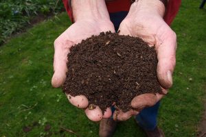 Compost soil