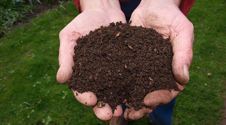 Compost soil