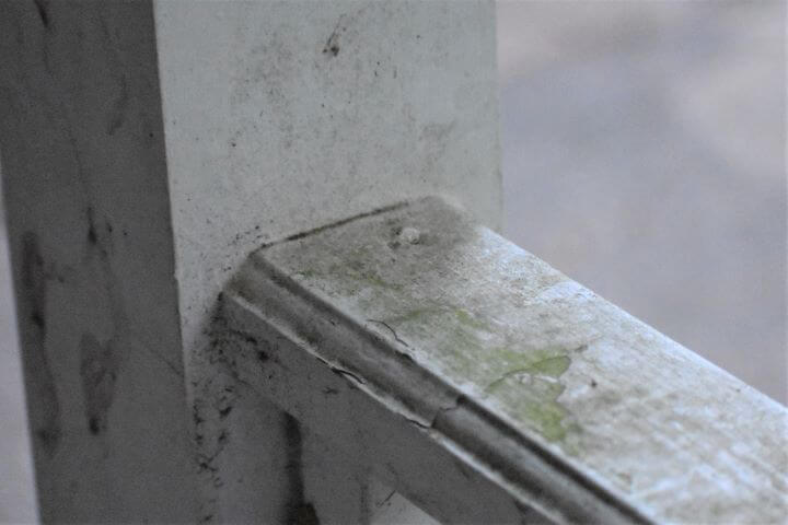 Algae on porch railing