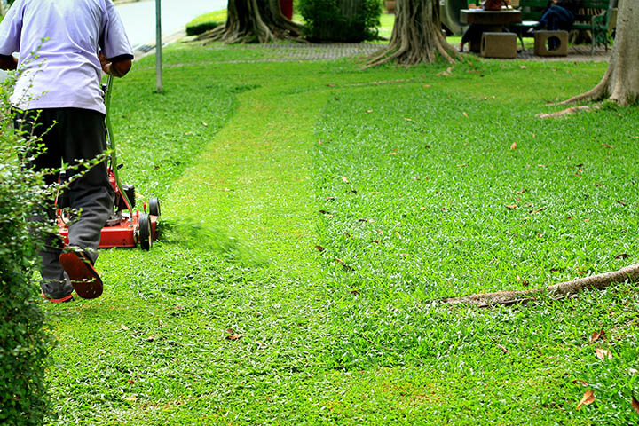 discharging grass clippings onto lawn