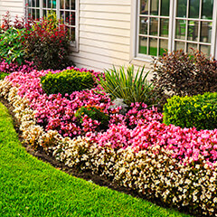 flower beds in front of home