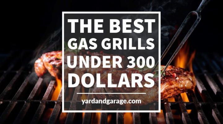 Under 300 Dollar Grill Reviews