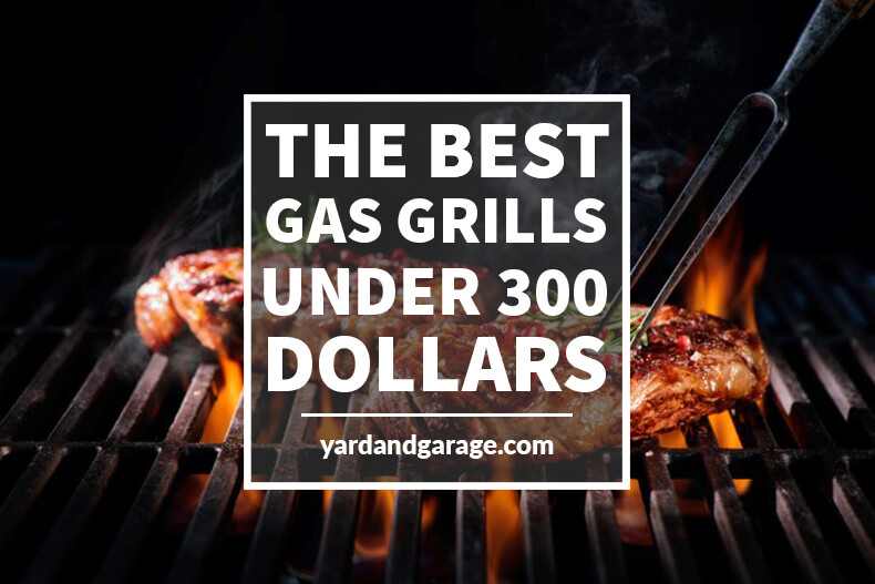 Under 300 Dollar Grill Reviews