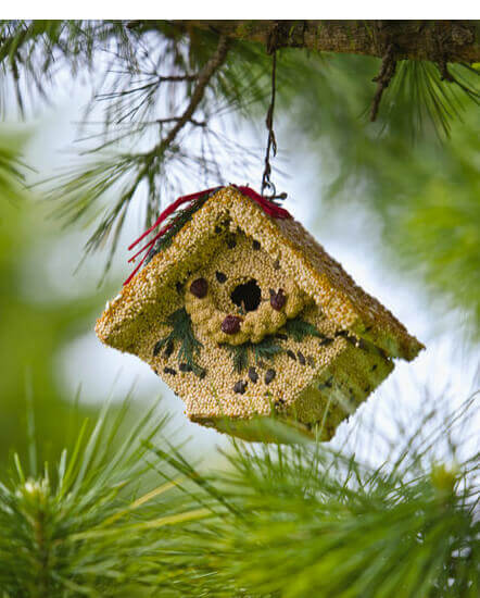 birdseed cottage