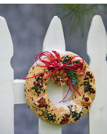 birdseed wreath