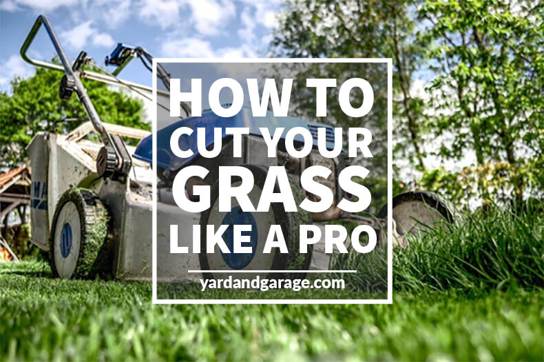 How to Cut Your Grass Like a Professional