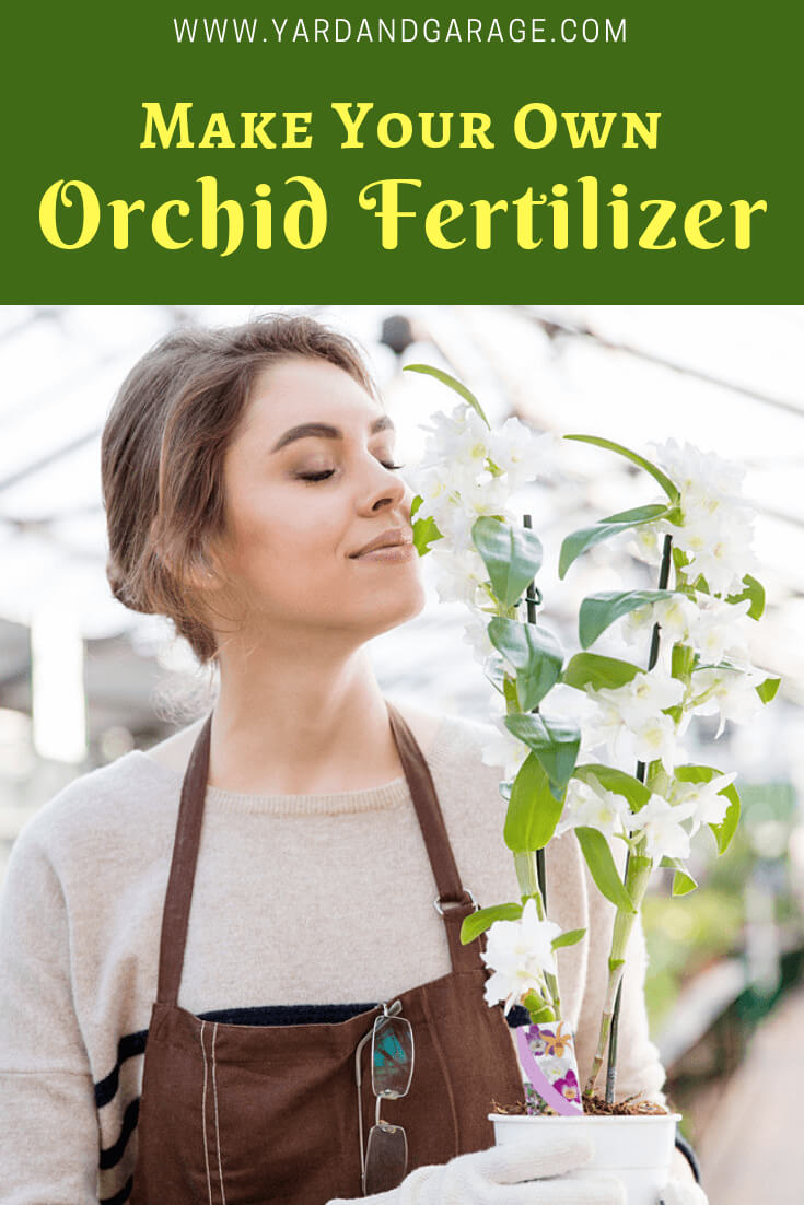 Make your own orchid fertilizer at home.