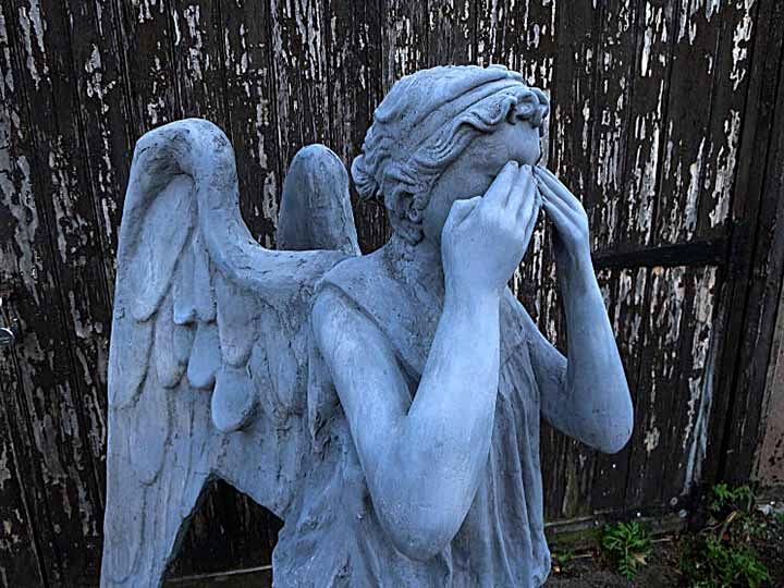 weeping angel