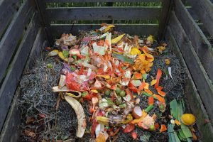 start of composting food waste