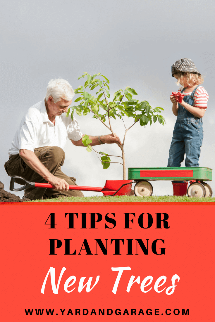 Tips for planting new trees.