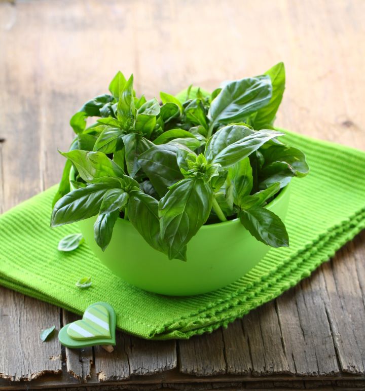 Basil in bowl on table
