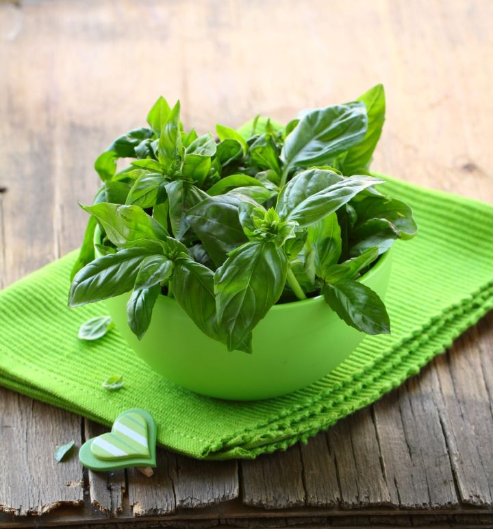 Basil in bowl on table