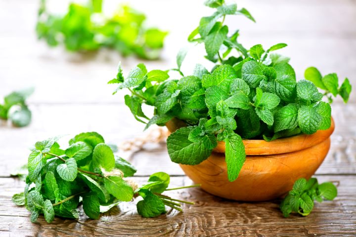 Mint leaves in bowl on table