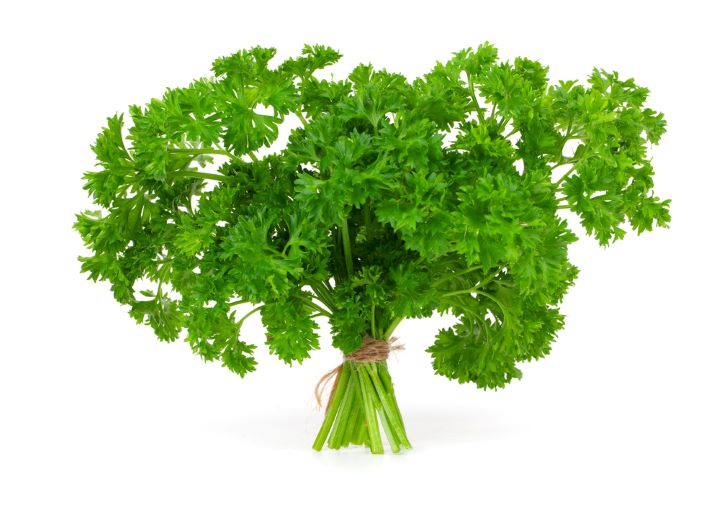 large bundle of parsley