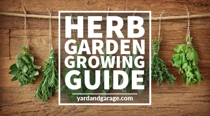 herb garden