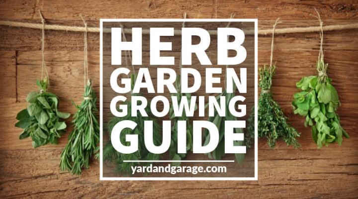 herb garden