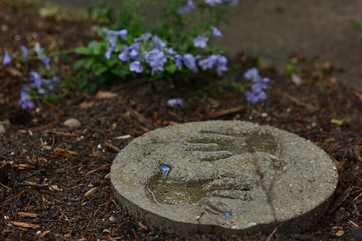 homemade stepping stones