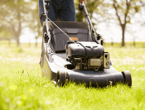 lawn mower cutting thick grass