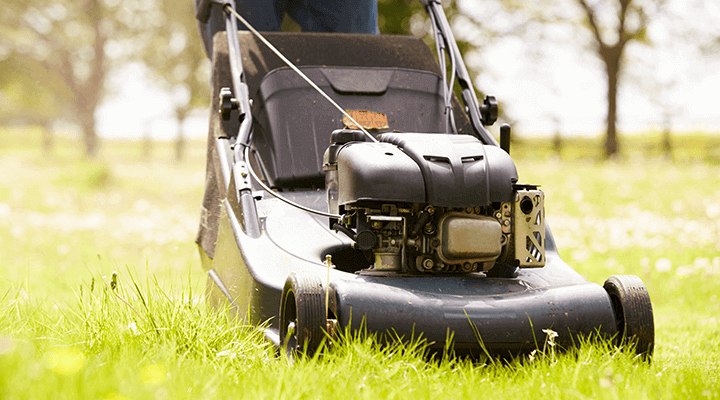 lawnmower cutting thick grass