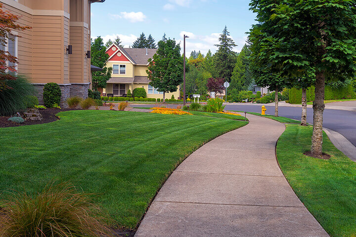 nicely edged sidewalk