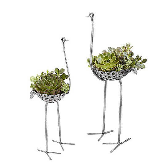 ostrich planters