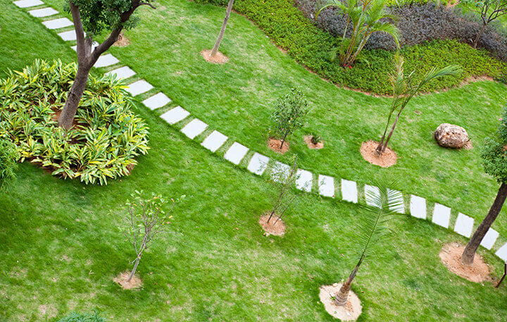 overhead view of garden