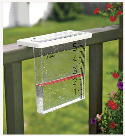 rain gauge