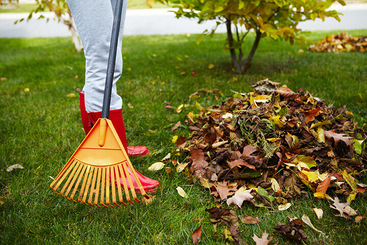 raking leaves