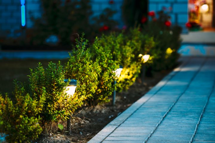 Pathway with solar lights at night